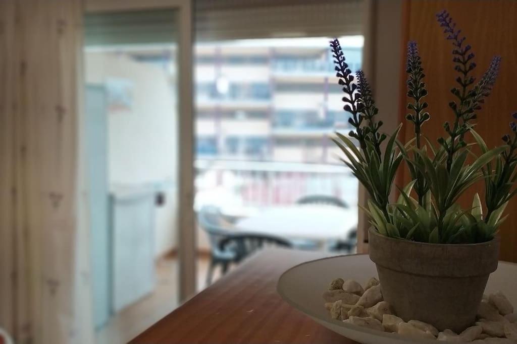 Acogedor Apartamento En La Playa De Canet Canet d'En Berenguer Ngoại thất bức ảnh